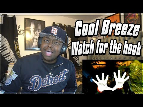 WHAT IN THE WORLD??? Cool Breeze ft. OutKast & Goodie Mob - Watch For The Hook REACTION