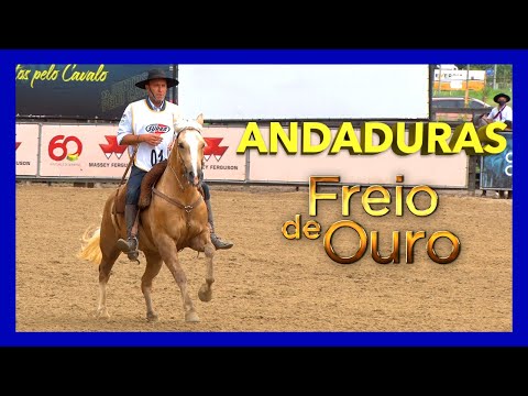 Avaliação das ANDADURAS do FREIO DE OURO