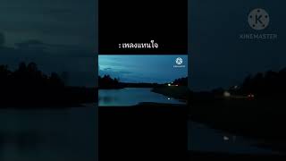 เพลงแทนใจ - คนหลงรถ