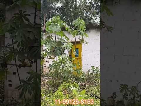 30 ALQUEIRES VENDE BARATO POR 180 MIL em Juquiá com casa