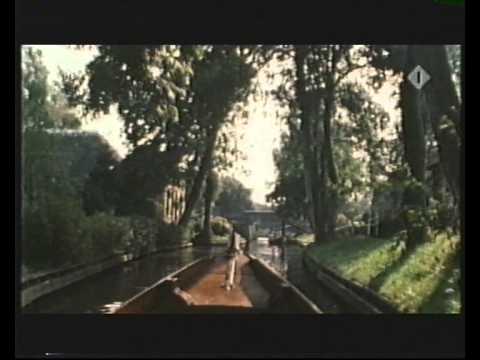 Hoge Bomen - Rijk de Gooyer