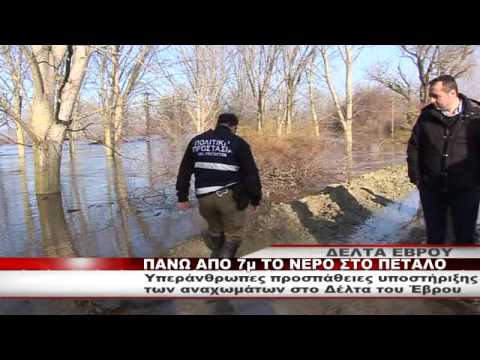 ΔΕΛΤΑ ΕΒΡΟΥ: ΠΑΝΩ ΑΠΟ 7μ ΤΟ ΝΕΡΟ ΣΤΟ ΠΕΤΑΛΟ