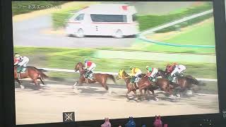 【フリーター競馬実況】2025 マーチステークス ブライアンセンス（岩田望来）