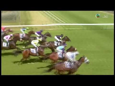 2019 Betting World Cape Flying Championship G1 - Kasimir (卡斯米爾) - R.Fourie