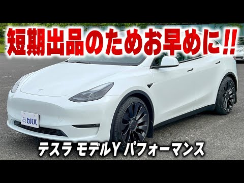 テスラ モデルY パフォーマンス 2023年式 中古車詳細 | プロに テスラ モデルY パフォーマンス 2023年式 中古車詳細 | プロに