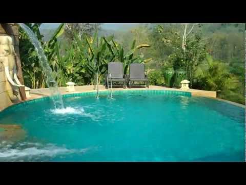 Jungle Oasis - A Real Mirage?