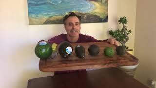 New Variety Avocado Taste Test