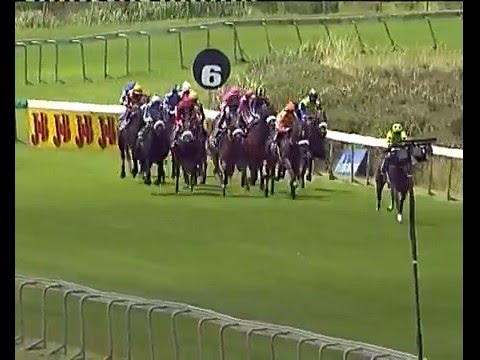 Futura - MR 80 Handicap