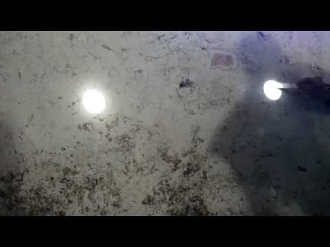 Рух світла. Юрій  Білей. Пленер GRANNY HALL. Волинь 2012 Відкрита Група Премія PinchukArtCentre - YouTube