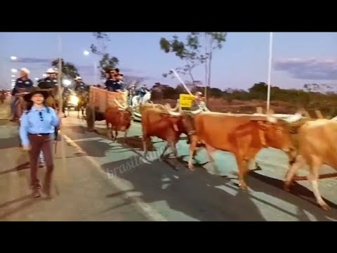 Chegando na final da Cavalgada do Sindicato Rural de Pium TO - 2026