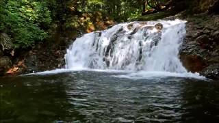 Chambermaid Swing-  Remix