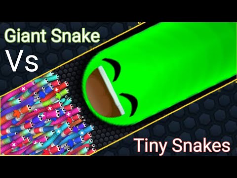 Slither.io Green Giant Snake vs Tiny Snakes - Slitherio A.i 200,000 Score - Sanp Wali Game
