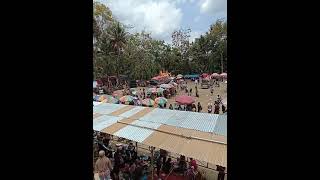 Download lagu karnaval jangkrikan kepil mp3