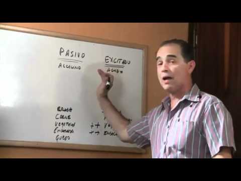 Episodio #173 No Puedo Dormir - ¿Cómo Resolver El Insomnio?