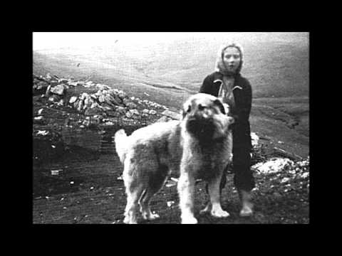 Macedonian Folklore - Solo gajda (FilipVasilevski)