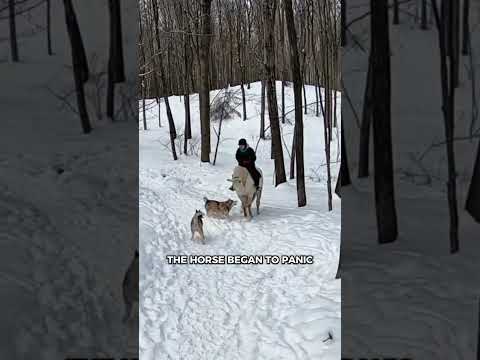 Unexpected Encounter