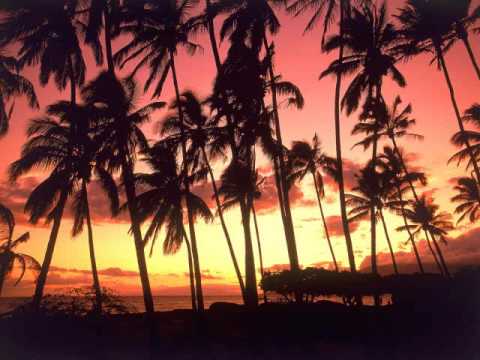 Sonic Palms - On the Beach (Club Mix)