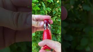 Download lagu Cherry lost low-key mp3 Download lagu Cherry lost low-key mp3