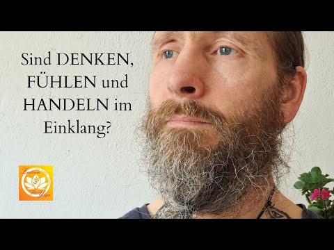 Sind DENKEN, FÜHLEN und HANDELN im Einklang?
