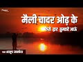 Nirgun Bhajan Maili Chadar Odh Ke मैली चादर ओढ़ के Anup Jalota Hindi Bhaja