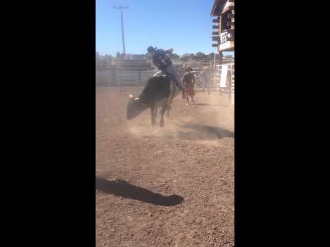 Wyatt Bronson at a Tony Mendez Bullriding school