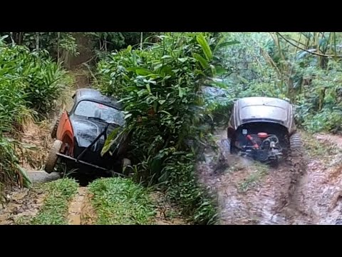 WE ENTERED THE MINELA TRAIL WITH THE TRAIL BEETLE.