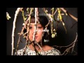 Vienna Teng - Never Look Away - Lyric Video ...