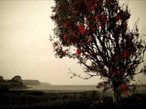 Se duce viata ta - Ilie Neagu