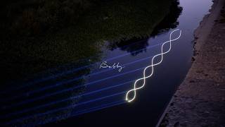 Cover art for Bobby