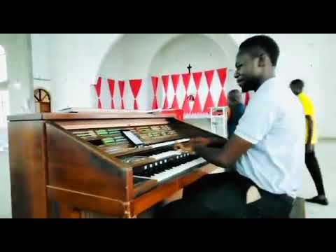 SHUKURANI YANGU KWAKO BY D. WASONGA.  ORGAN BY Baraka Mashibe