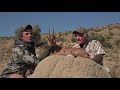 Steenbuck Hunt With Braeside Safaris