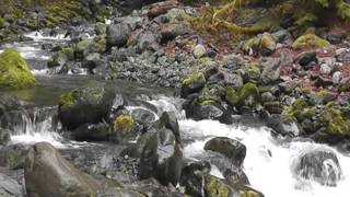 The Sandpipers &amp; The Mystic Mood Orchestra Come Saturday Morning