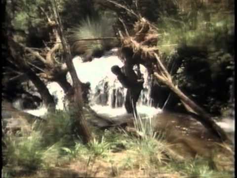 afbeelding Game for Vultures 1979 Part 1a