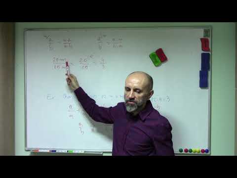 Rapoarte clasa a 6-a