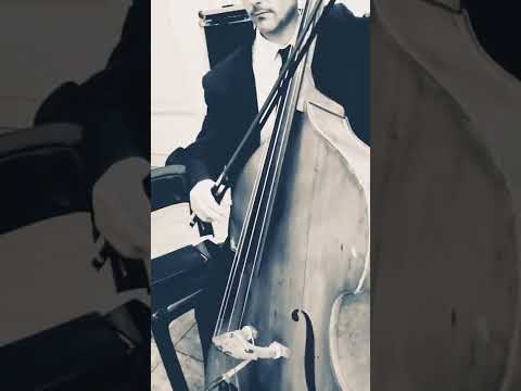 Céu de Santo Amaro (Arioso - Bach) Delfim Moreira Orquestra