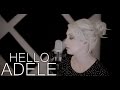 Adele - Hello (Cover by The Animal In Me) 