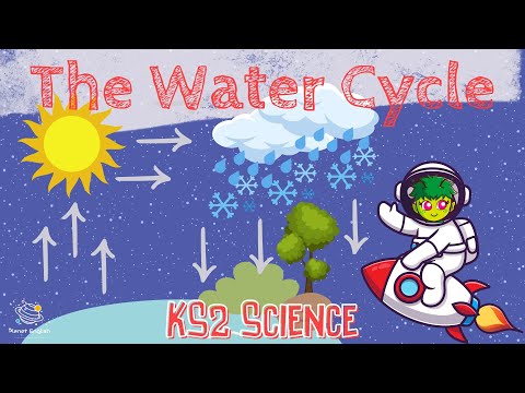 The Water Cycle | KS2 Science | STEM and Beyond