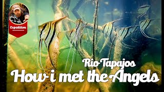 Film Rzeka Rio Tapajos