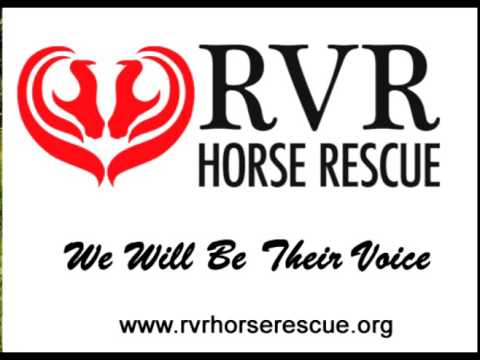 RVR: Kelly live on Debra Evans AM Radio