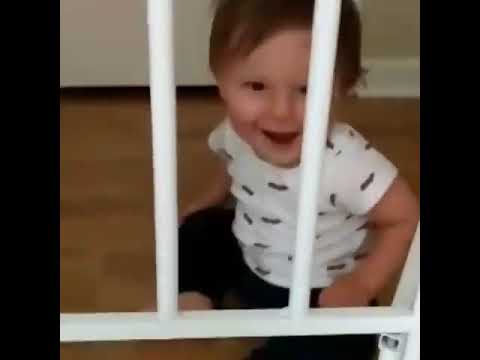 Nothing Will Stop These Babies from Escaping