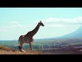 Daniel Deuschle Rite Of Passage Official Video