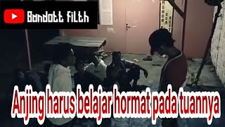 Download lagu Anjing harus belajar hormat pada tuannya 😎 mp3