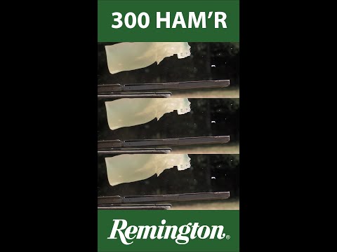 Remington Ammunition 300 HAM'R Gel Block