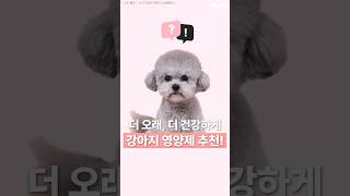 [불명] 비타파우 쏘헬시 10mm 알티지 오메가-3 27g (180p) (1개)_동영상_이미지