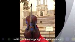 ~ Gasparo de Saló ~ Giovanni Paolo Maggini ~ Andrea Amati ~ Stradivari ~ Guarneri ~ Jacob Stainer ~