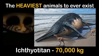 The HEAVIEST animals to ever exist | Mr incredible becoming uncanny