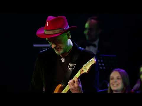 Andrzej Cierniewski - Darling