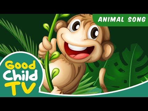 Kids Song - Swing Like A Monkey | Animal Songs