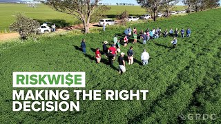 Getting decisions right more often: The RiskWi$e initiative