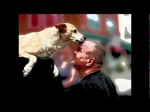 Piano Man Danny Kean with Dog Boner and the Traveling Piano